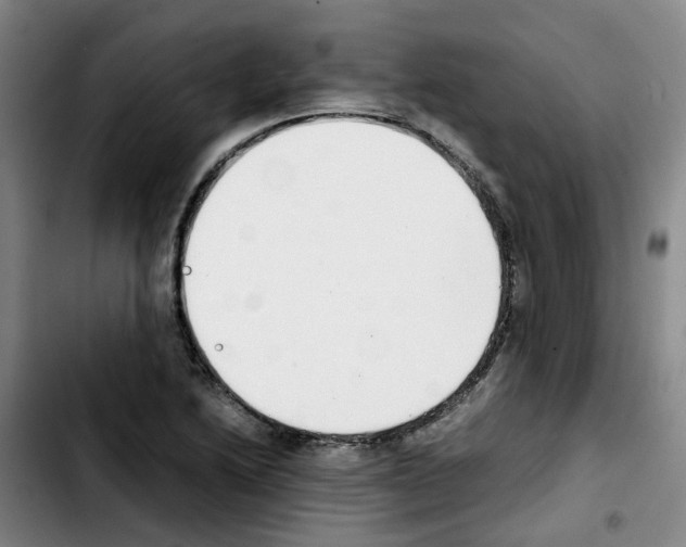 X0000103451222200810241137