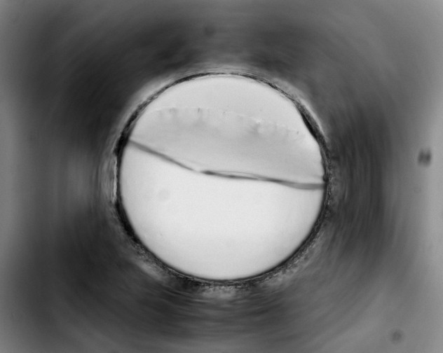 X0000103451223200810241137