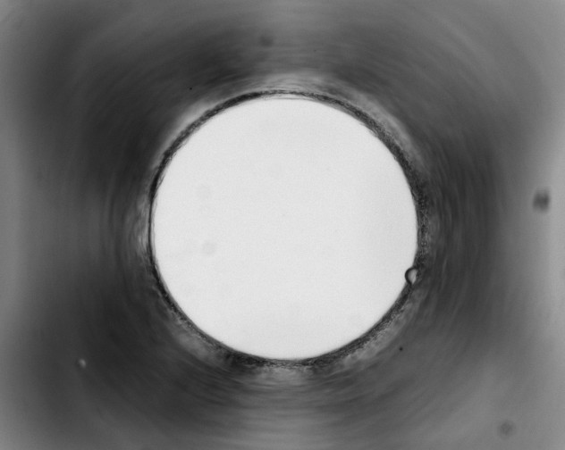 X0000103451224200810241137