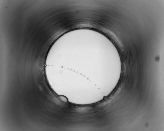 X0000103451225200810241137