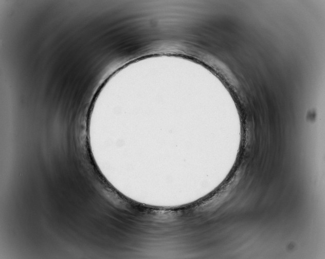 X0000103451226200810241137