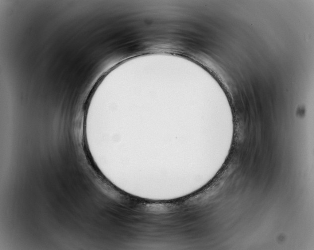 X0000103451227200810241137