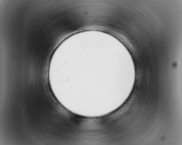 X0000103451228200810241137