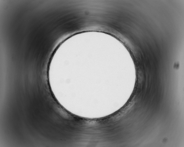 X0000103451230200810241137