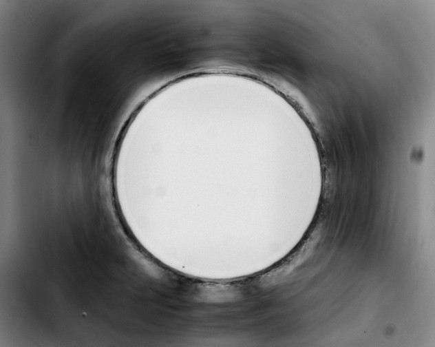 X0000103451231200810241137