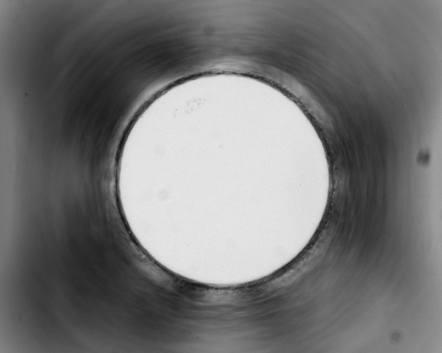 X0000103451232200810241137