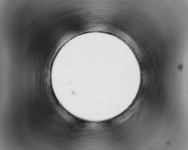 X0000103451234200810241137