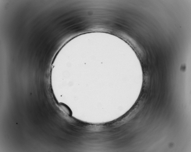 X0000103451236200810241137