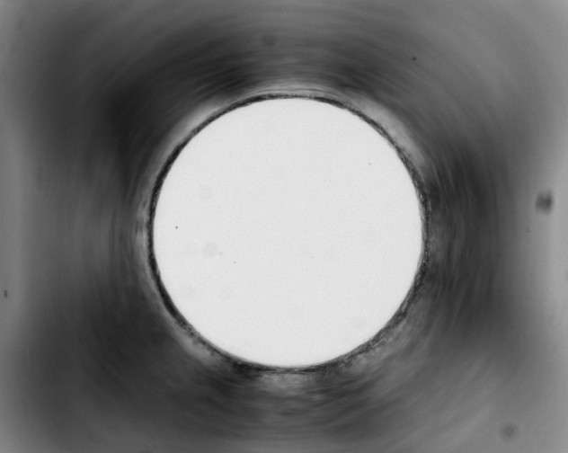 X0000103451237200810241137