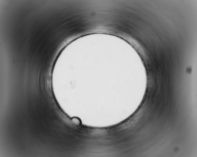 X0000103451238200810241137