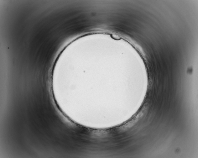 X0000103451239200810241137