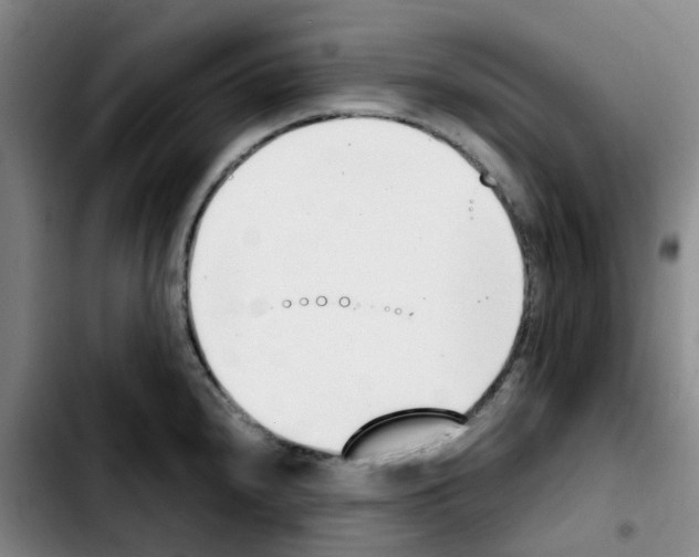 X0000103451240200810241137