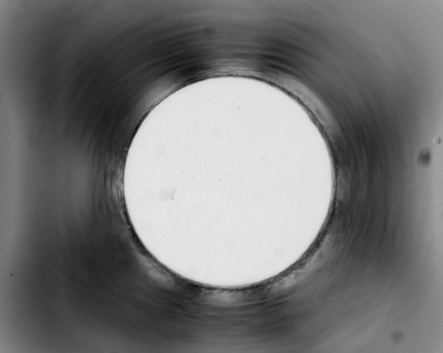 X0000103451241200810241137