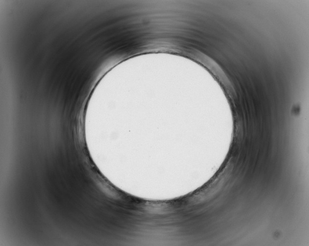 X0000103451242200810241137