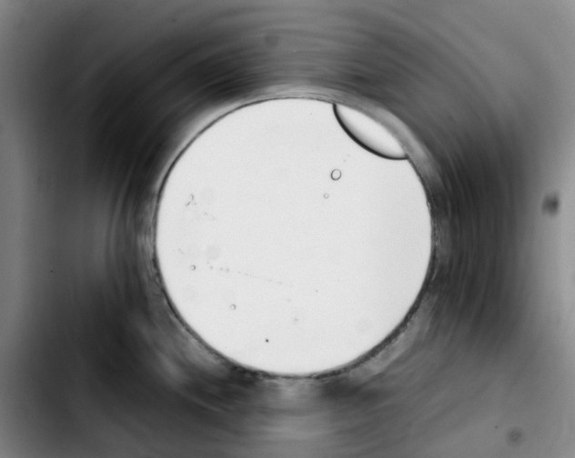 X0000103451244200810241138