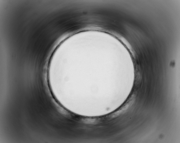 X0000103451245200810241138