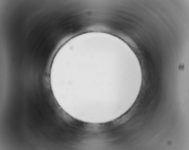 X0000103451248200810241138