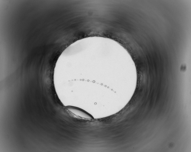 X0000103451250200810241137