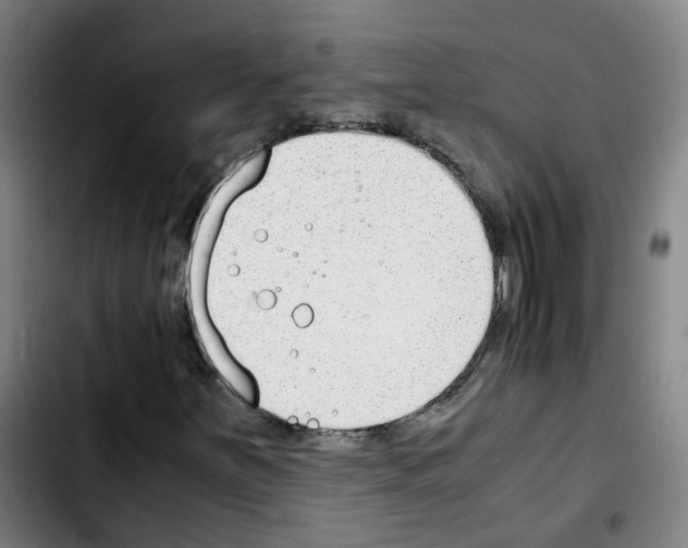 X0000103451251200810241137