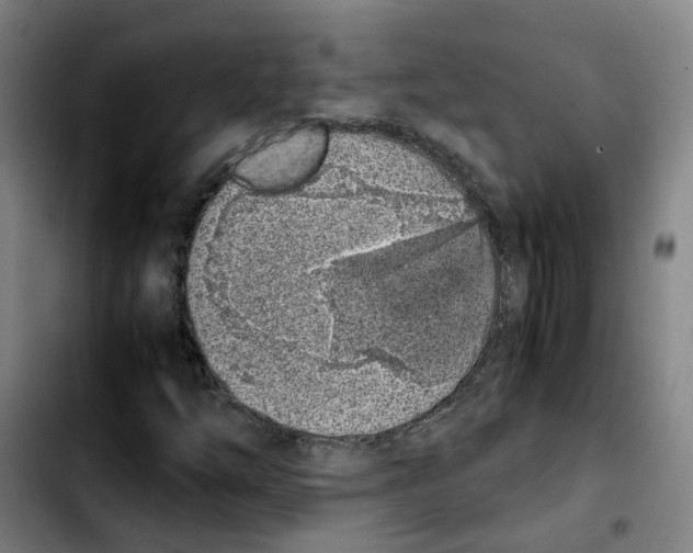 X0000103451254200810241137