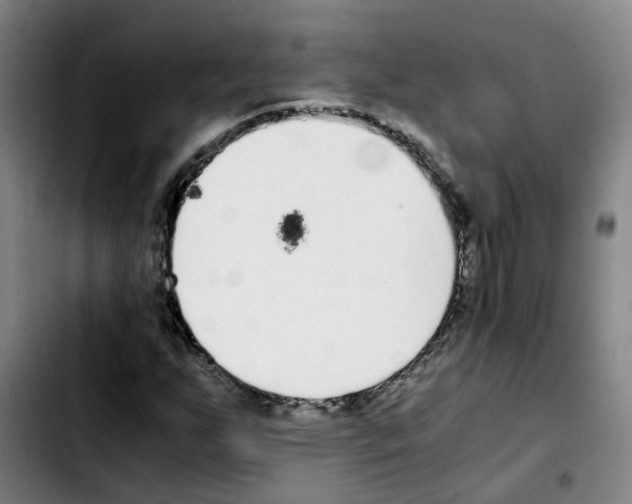 X0000103451255200810241137