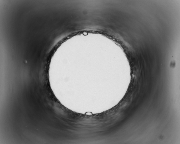 X0000103451256200810241137