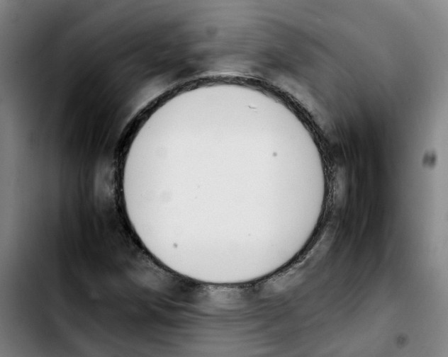 X0000103451258200810241137