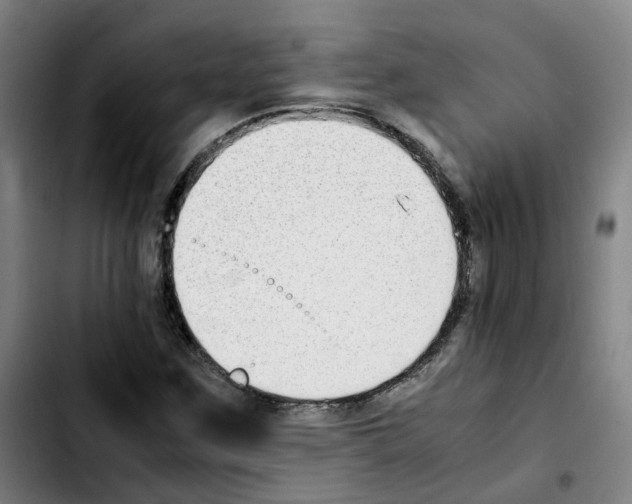 X0000103451259200810241137