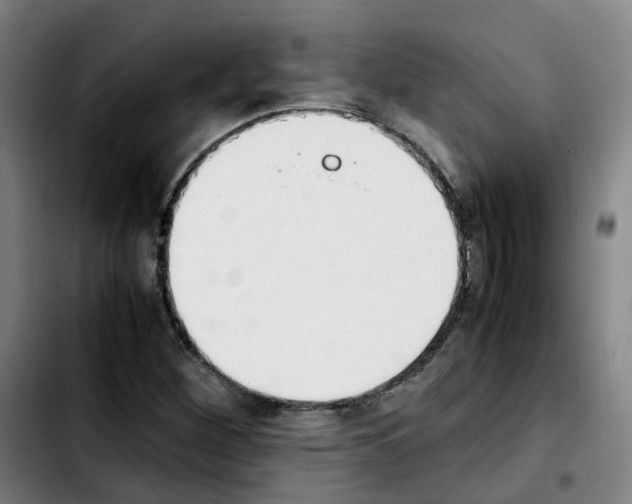 X0000103451260200810241137