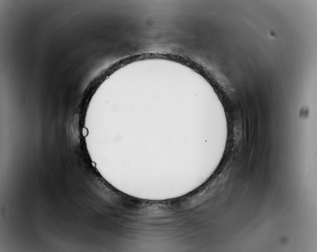 X0000103451262200810241137