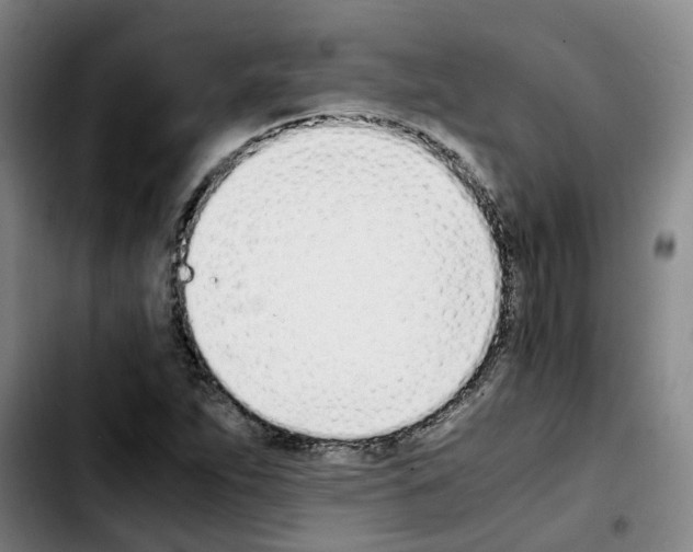 X0000103451263200810241137