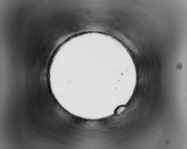 X0000103451264200810241137