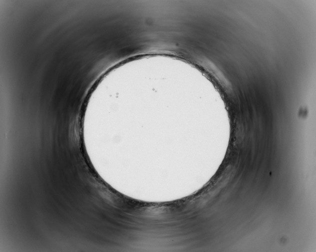 X0000103451268200810241137