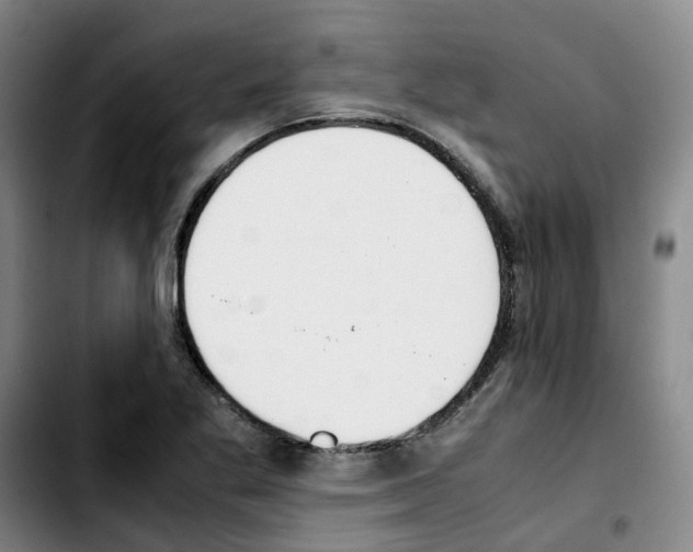 X0000103451269200810241137