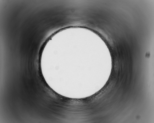 X0000103451270200810241137