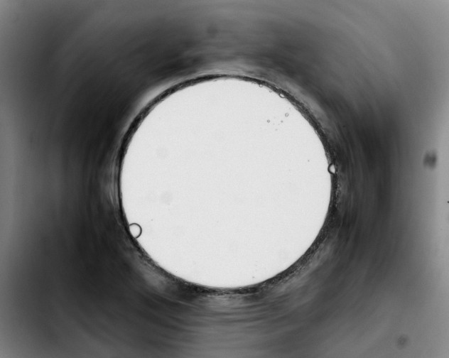 X0000103451272200810241137