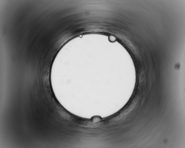 X0000103451273200810241137