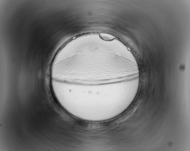 X0000103451275200810241137