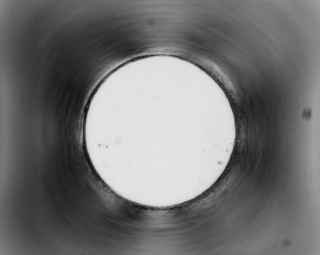 X0000103451276200810241137