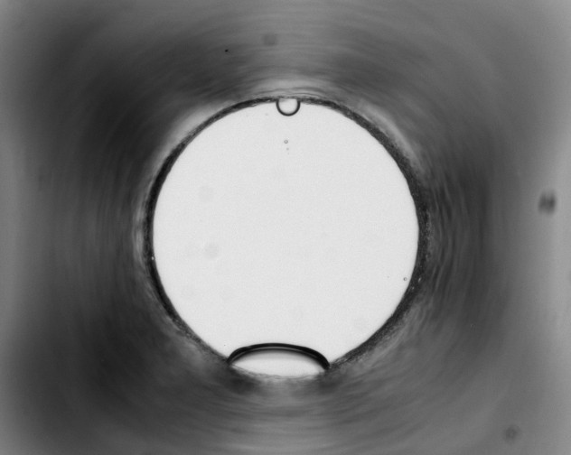 X0000103451277200810241136