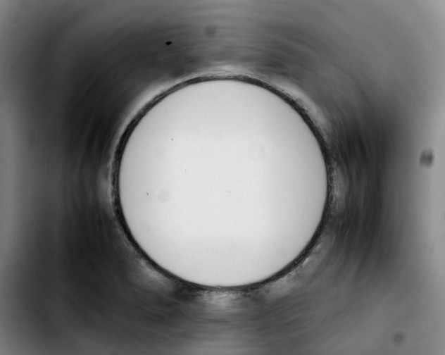 X0000103451278200810241136