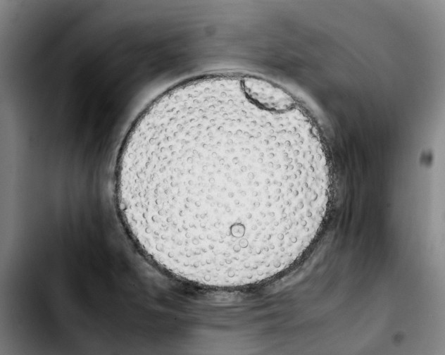 X0000103451279200810241136