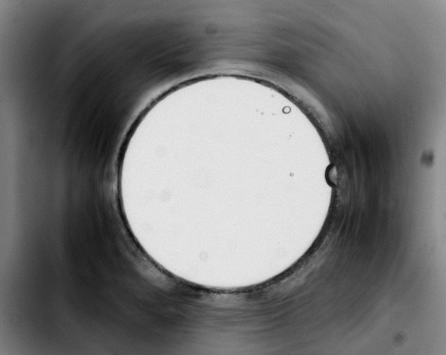 X0000103451280200810241136