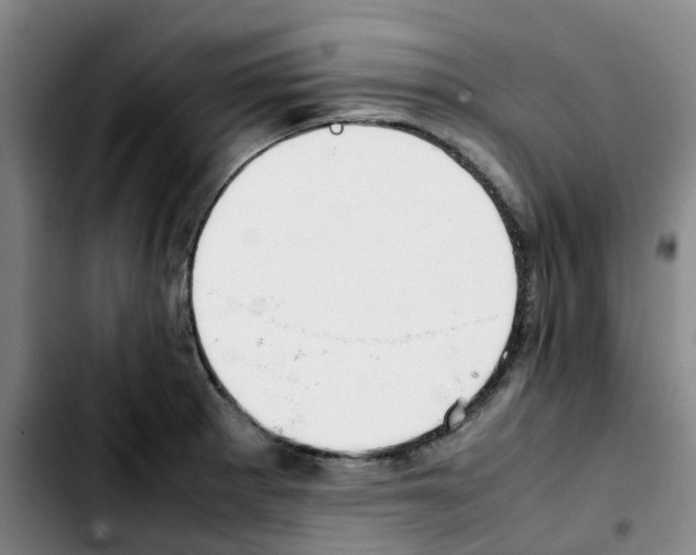 X0000103451281200810241136