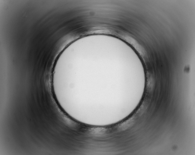 X0000103451282200810241136