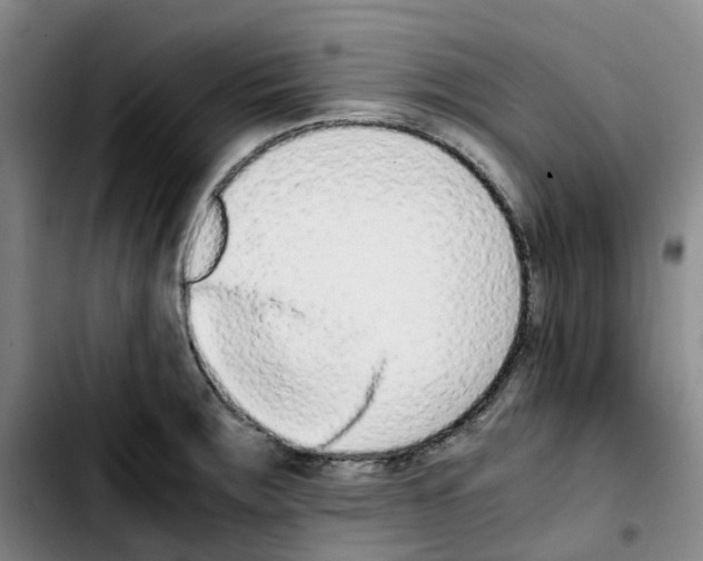 X0000103451283200810241136