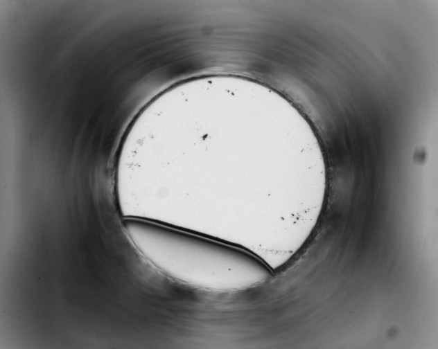 X0000103451284200810241136