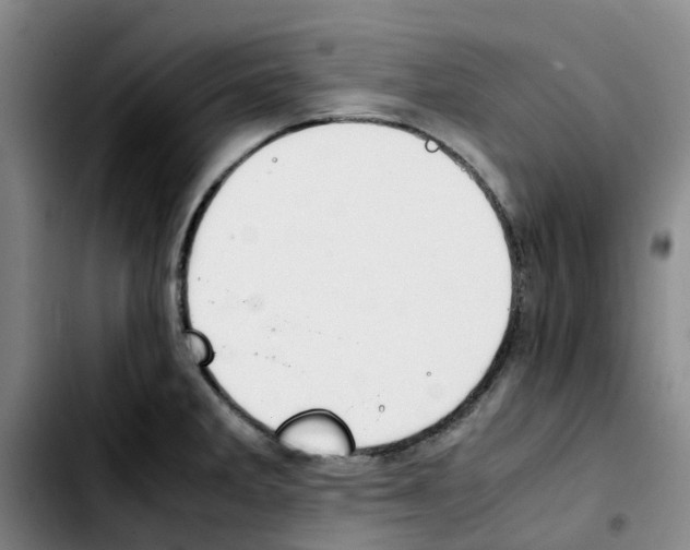 X0000103451285200810241136