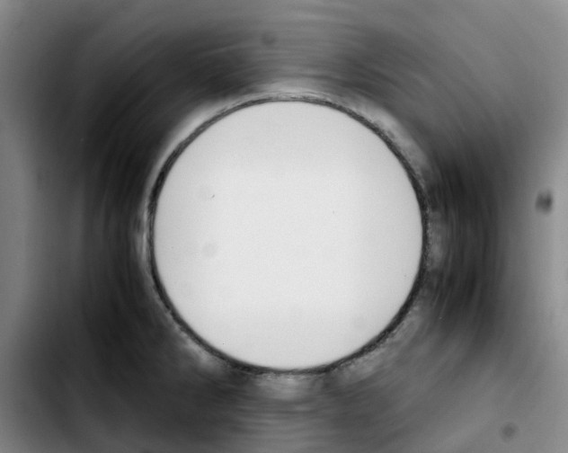 X0000103451286200810241136