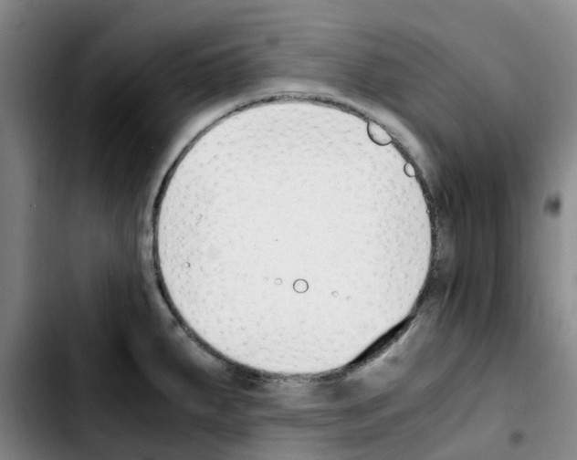 X0000103451287200810241136